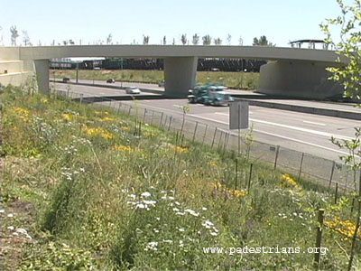 Vancouver Land Bridge