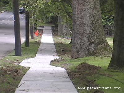 Sidewalk curves around tree
