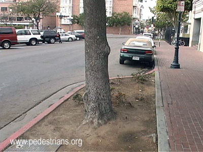 Tree in curb extension, San Diego